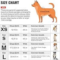 Vista 2 de BEAUTYZOO No Pull Dog Harness and Leash Set - Adjustable Step-in Puppy Harness for Small Medium Large Dogs, Escape Proof Soft Nylon Vest with Double