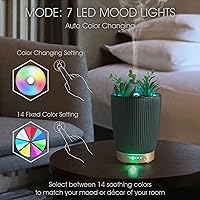 Vista 4 de Earnest Living Difusor de aceite esencial de cerámica para plantas suculentas artificiales en maceta, 3.4fl oz para aceites esenciales de lavanda