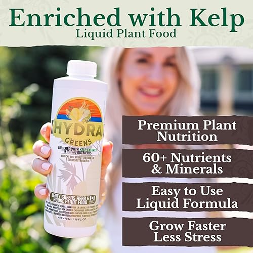 Miniatura 2 de HydraGreens - Alimento para plantas, enriquecido con nutrientes y minerales de algas marinas para jardines interiores y exteriores, 8 onzas, para