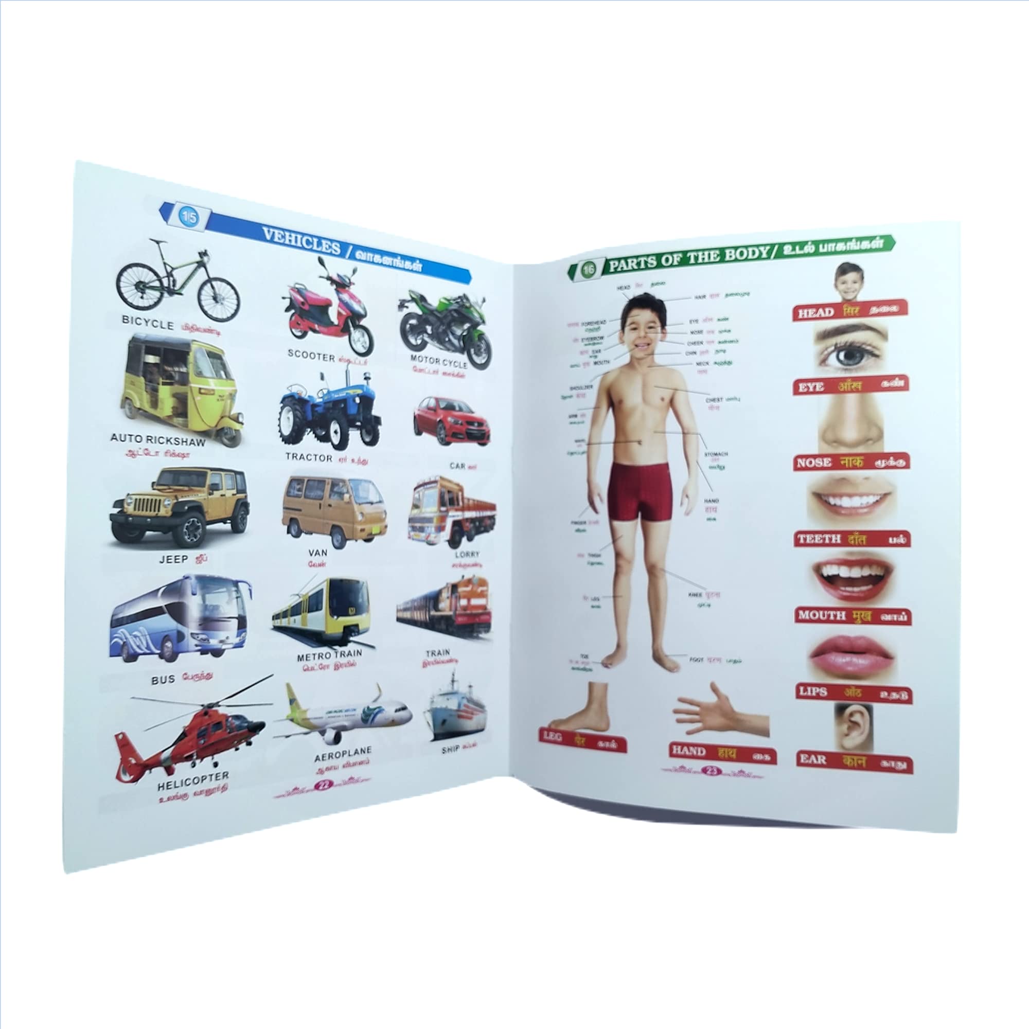 All in One Tamil தமிழ் - English : Kids Tamil Learning and Picture Books : 37 Topics : Alphabet, Numbers, Numerals, Tables, Math, Birds, Animals, Flowers, Fruits, Vegetables, Vehicles, Part of body, Rhymes, Stories, Computer and peripherals, Festivals, Good Habits, Spices, Our Helpers, Source of waters, Temples, colours and shapes, sea creatures, National Leaders, Safety rules, Food & Beverages, Historical Places, Insects, Reptiles & amphibians, Opposites, National symbols, Indian currency 2