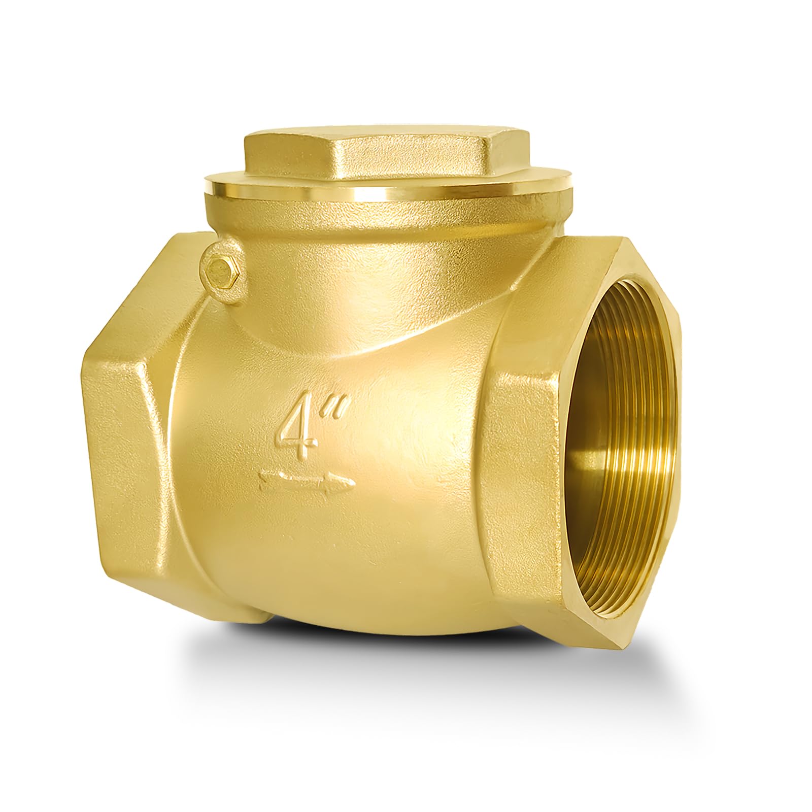 4 NPT Horizontal Check Valve, Stainless Steel Non Return Swing Check - View #11