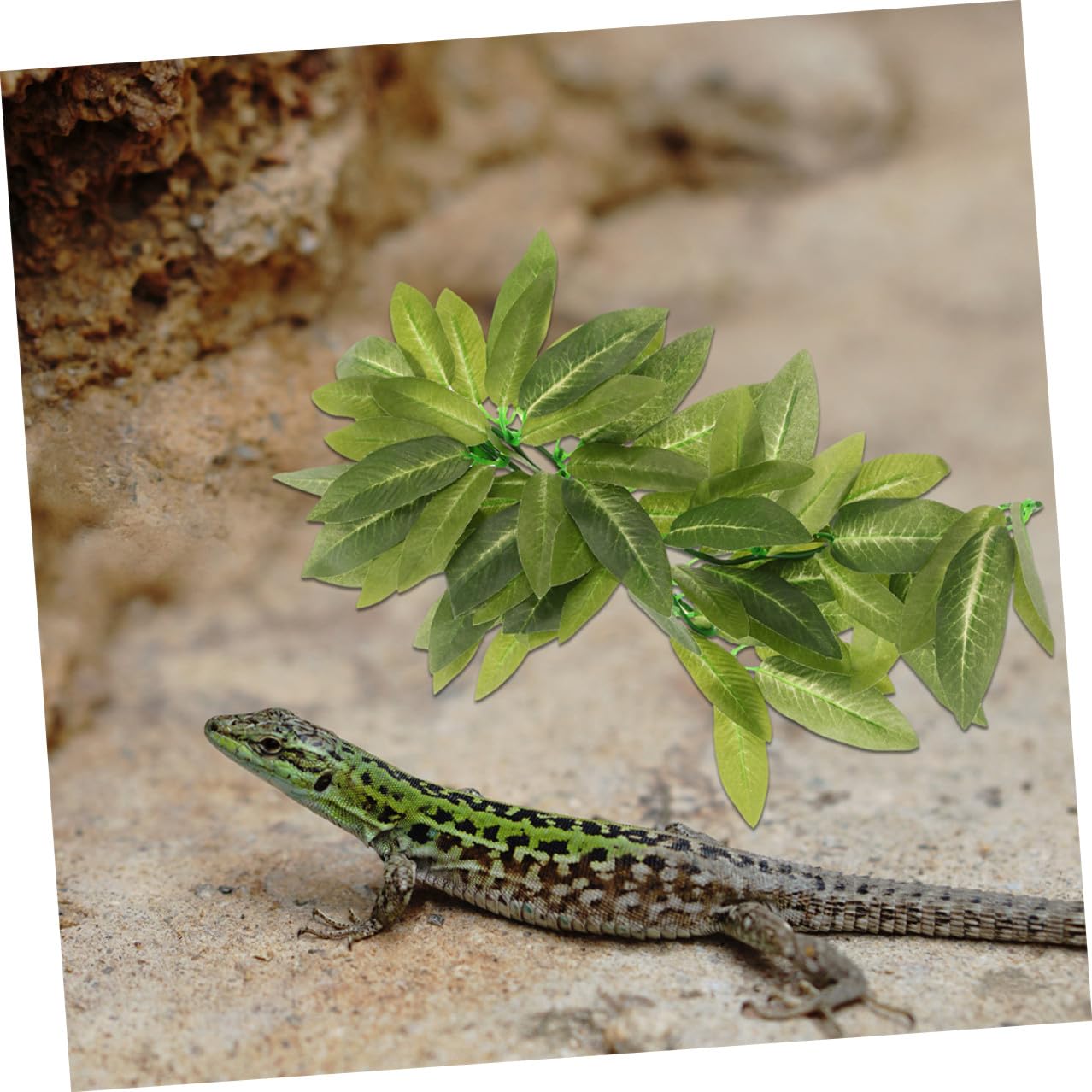 6piezas Plantas de Reptiles para Terrario Enredaderas Colgantes Artificiales de Plástico Decoración para Terrarios de Serpientes