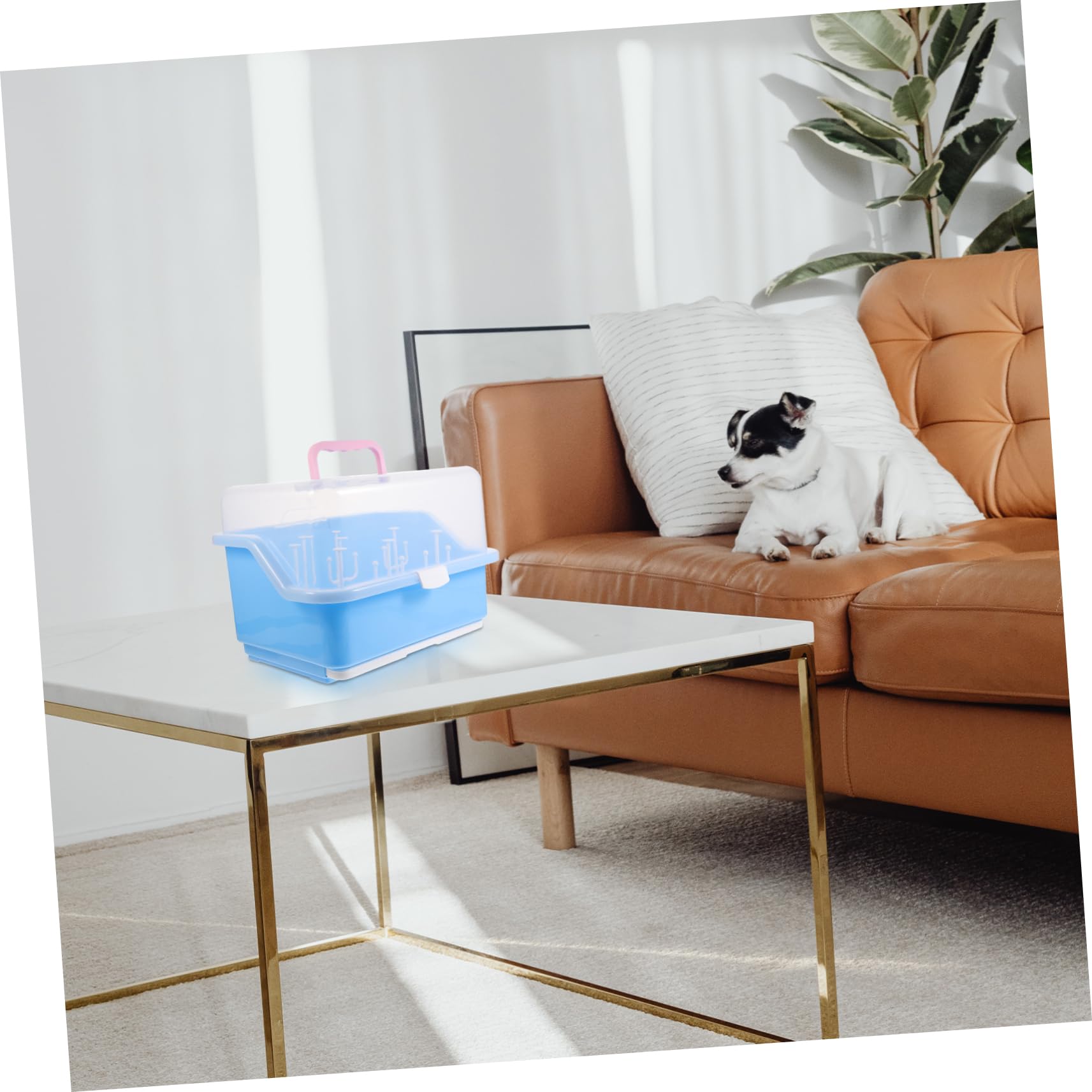 Boîte de Séchage pour Biberons en PP Bleue Couvercle | Rangement Perforé, Séchage Rapide, pour Pailles et Vaisselle, Format Compact pour Organisation Quotidienne Couleur Aléatoire