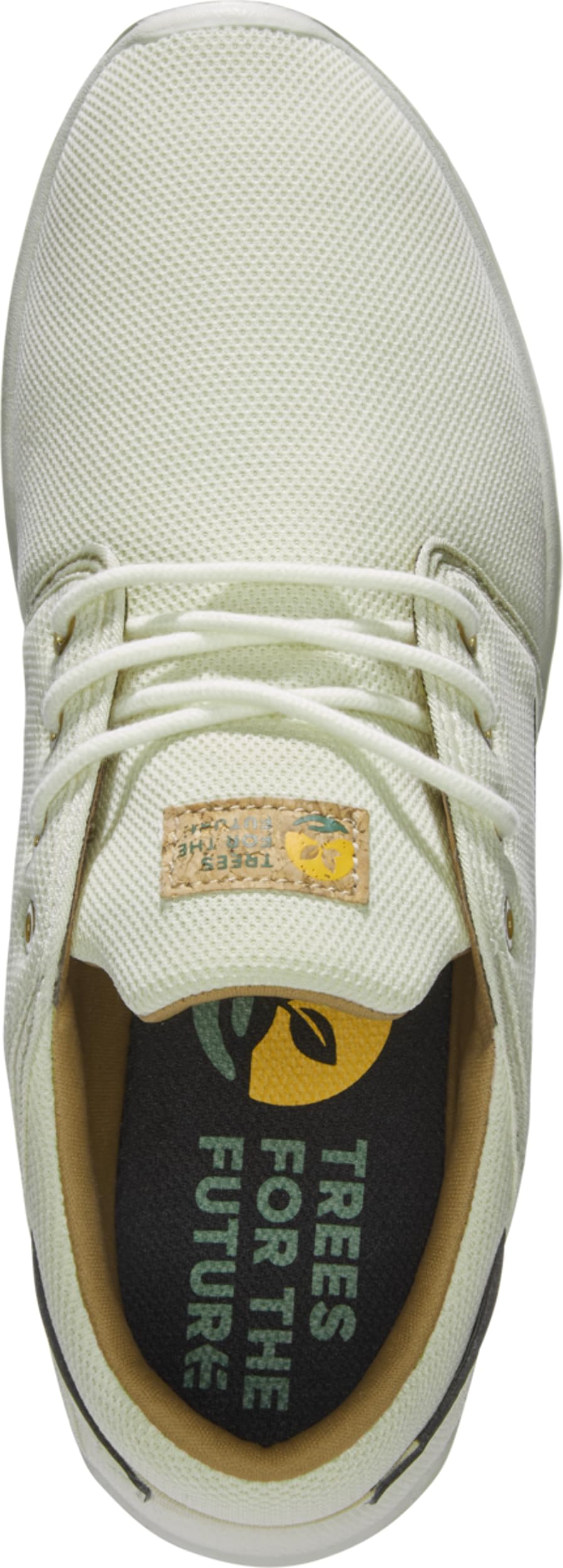 Etnies Mężczyźni Scout X TftfButy na deskę