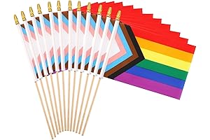 Augshy Mini Pride Flags for Unparalleled Inclusivity: Embracing Love and Diversity