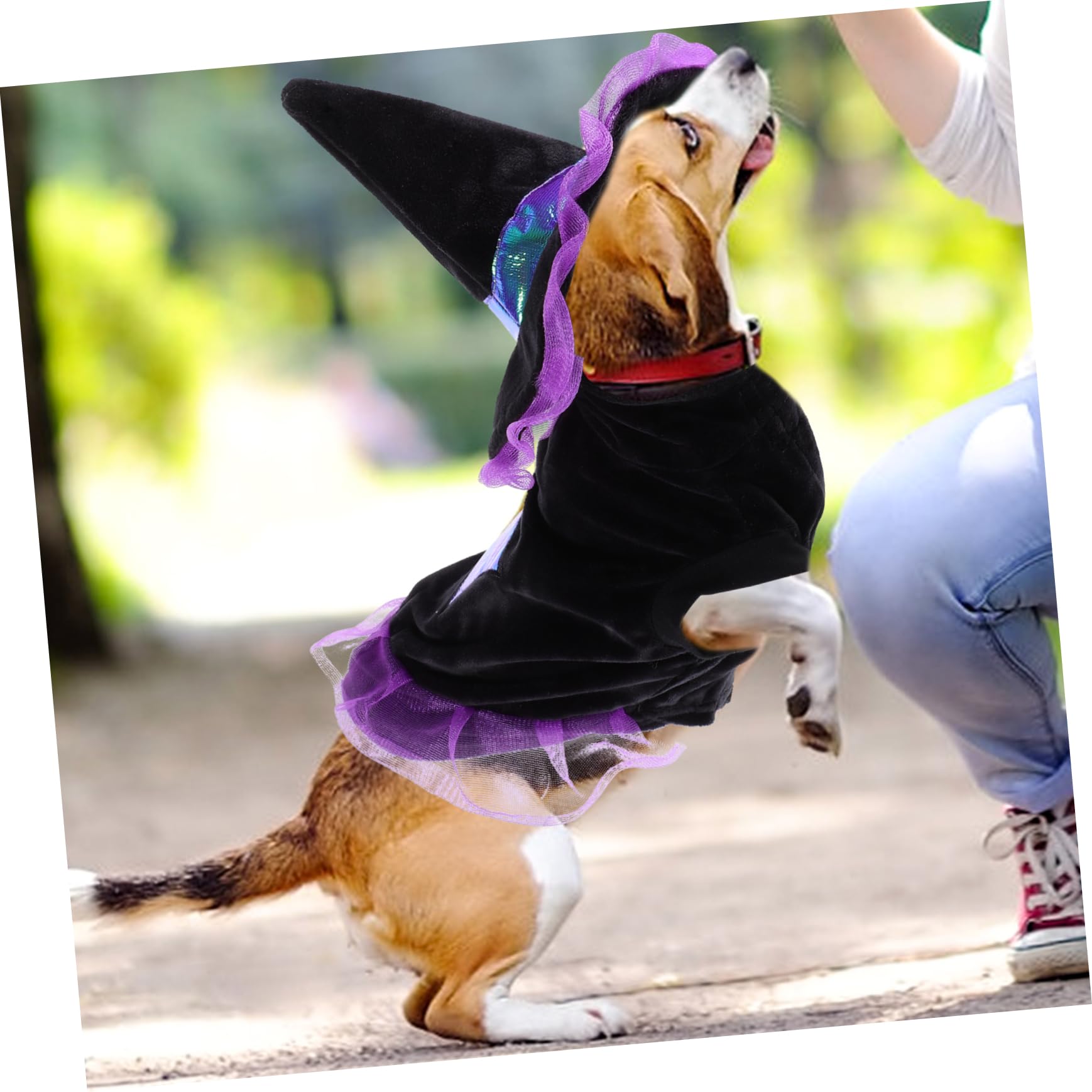 POPETPOP 3 Pezzi Costumi Di Halloween Per Cani Cappello Da Strega E Set Di Vestiti Per Travestimenti Per Animali Domestici Per Halloween E Feste