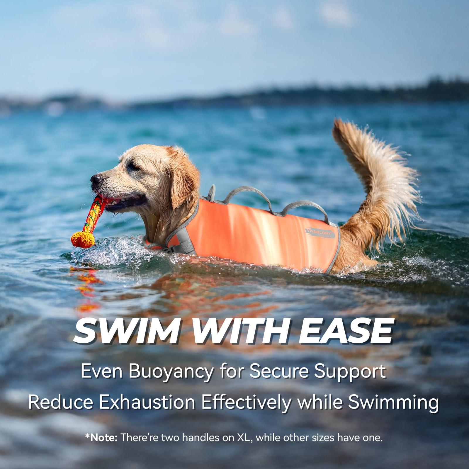 VIVAGLORY Neoprene Dog Life Jacket, Dog Buoyancy Aid for Swimming & Boating, Life Vest with Handle - Image 3