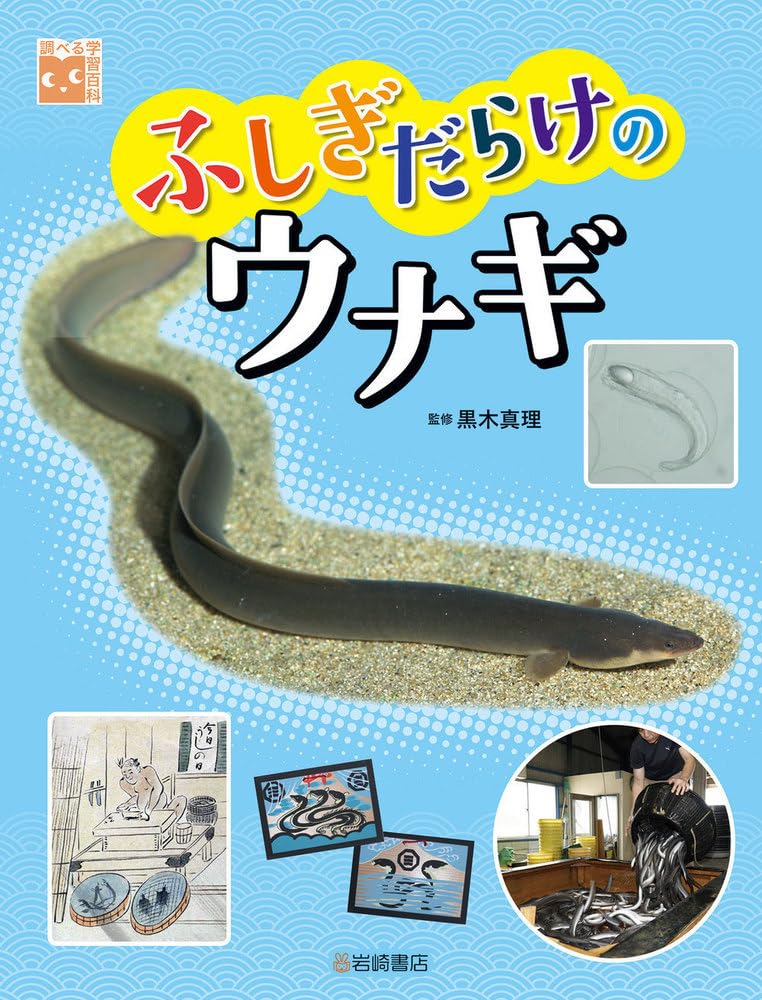 Amazon.co.jp: ふしぎだらけのウナギ (調べる学習百科) : 黒木 真理: 本