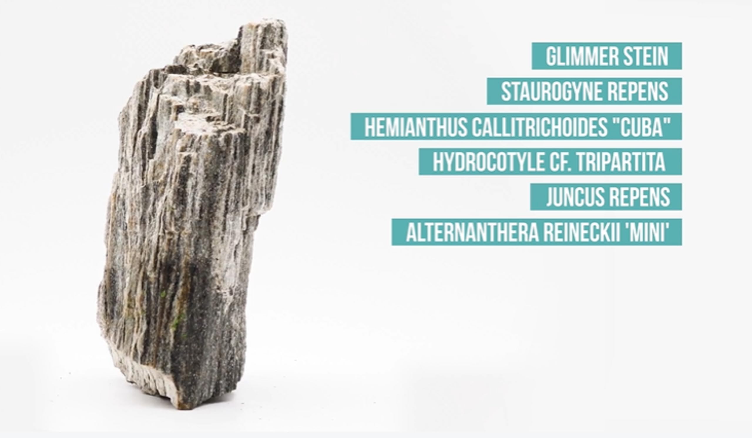 RUKDA® Natural Glimmer Wood Rock | Grey Shimmering Layered Stones with Mica Effect | Aquascaping, Planted Aquarium, Terrarium, Fish Tank, Garden & Home Decor | 100% Natural Stones (0.9, Kilograms) 4