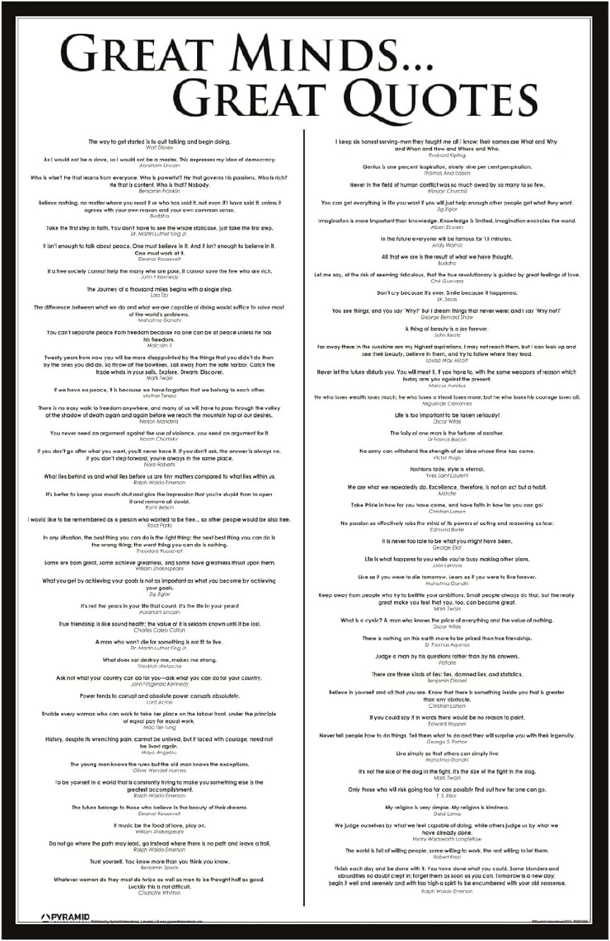 Pyramid America Great Minds Great Quotes Motivational And Inspirational Sayings Cool Wall Decor Art Print Poster 60x90