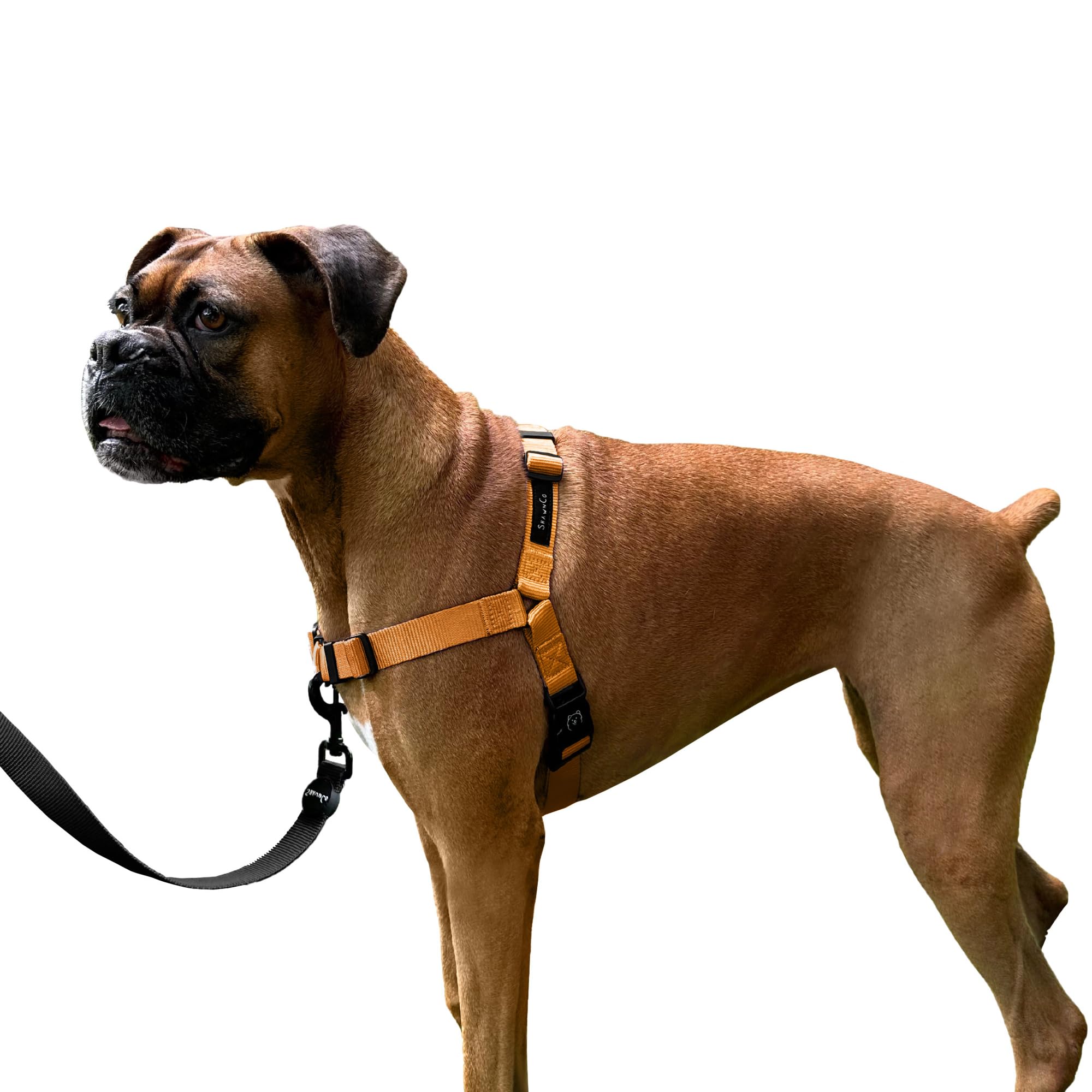 ShawnCo Dream Walk No-Pull Dog Harness- Adjustable, Comfortable, Easy to Use Pet Halter to Help Stop Pulling for Small, Medium and Large Dogs (Sunset Orange, S)