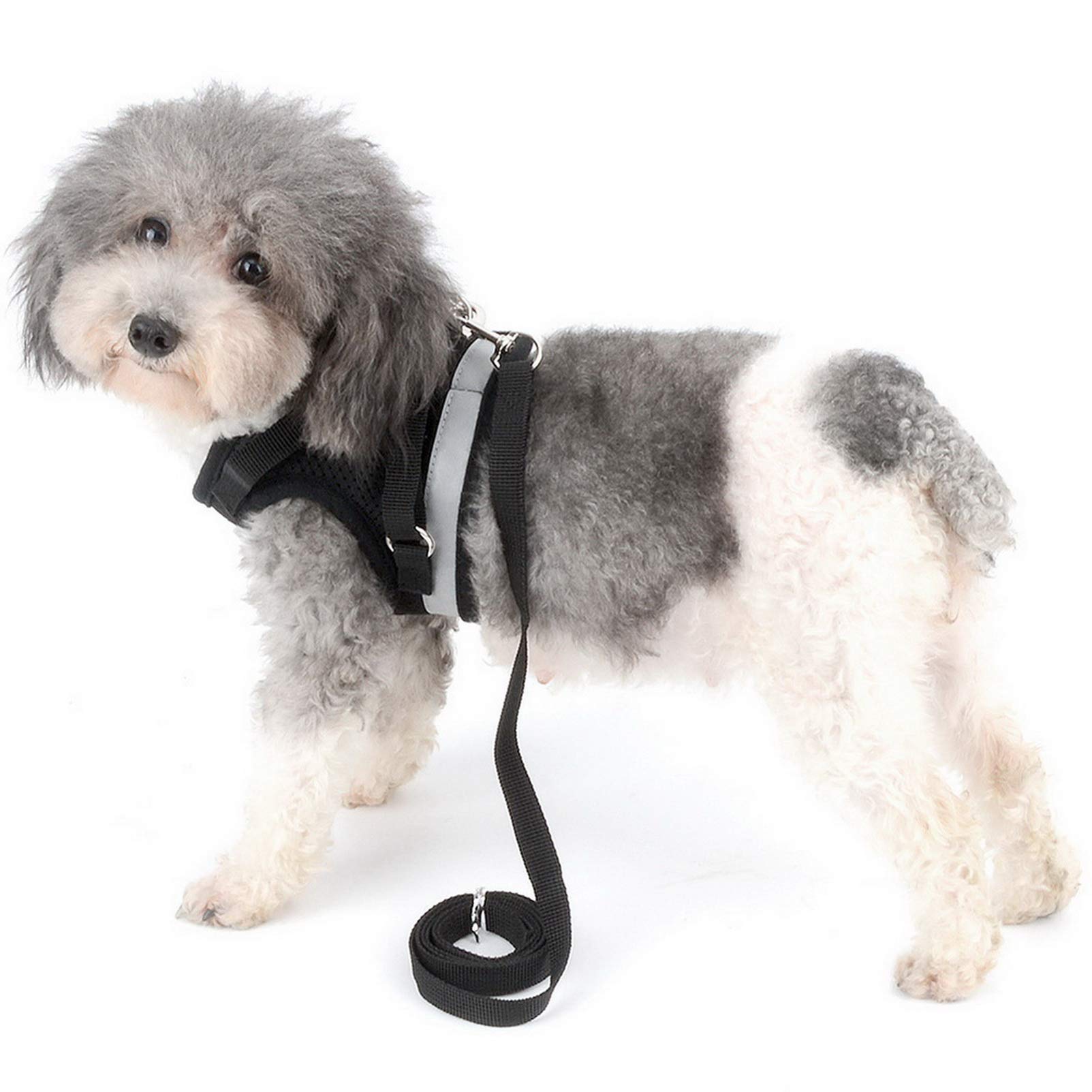 Amazon | SMALLLEE_LUCKY_STORE ハーネス 犬 胴輪 はーねすリード