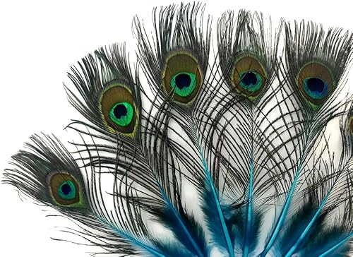 Miniatura 2 de 50 piezas - Mini cuerpo de cola de pavo real natural azul turquesa con ojos al por mayor plumas (a granel) Proveedor de manualidades de disfraces de