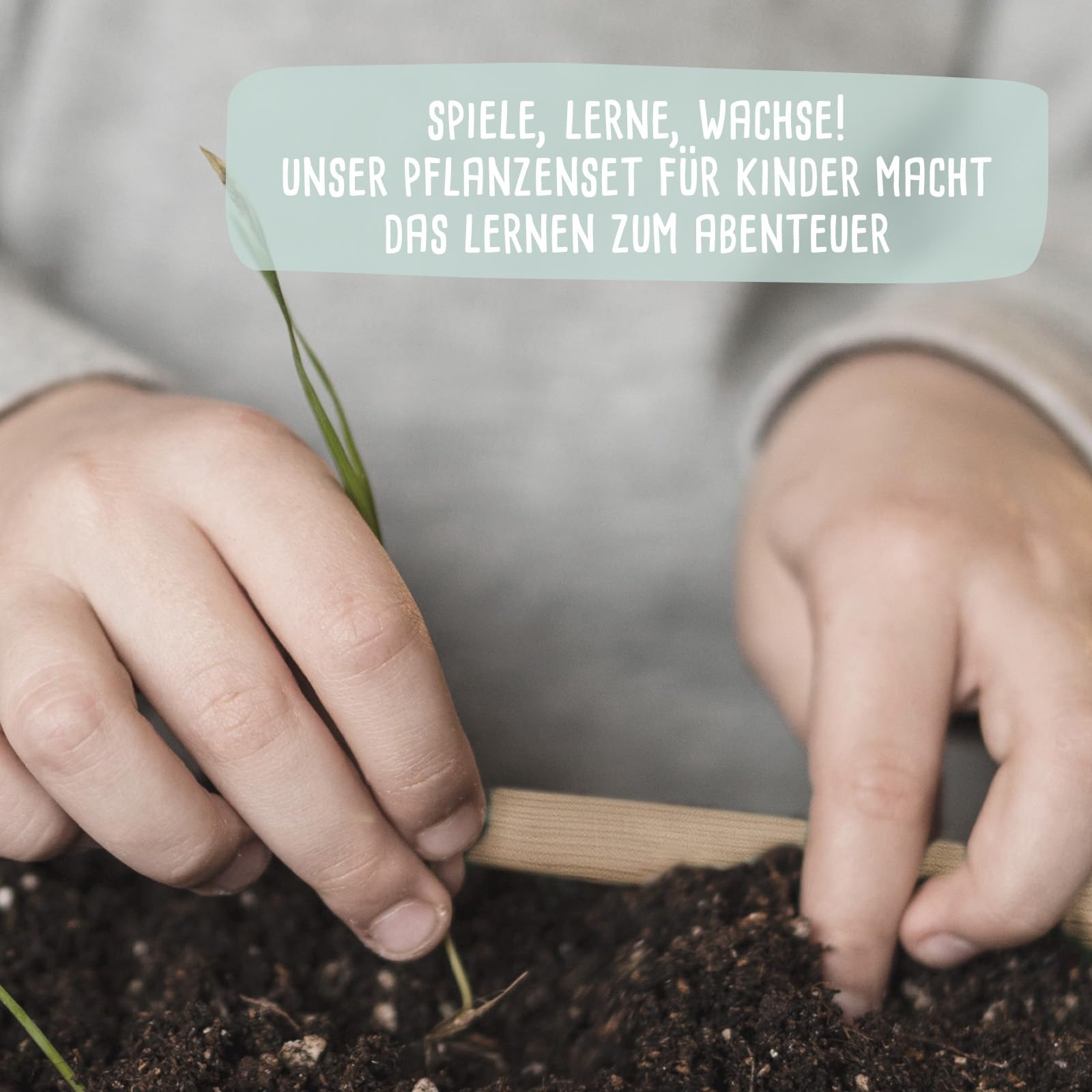 Personalisiertes Saatgut Anzuchtset für Kinder, Mini Gärtner Starter Kit, Garten Holzkiste, Gemüsegarten für Kinder, Kräutergarten, Blumengarten (Kräutergarten, L (40x30x14cm))