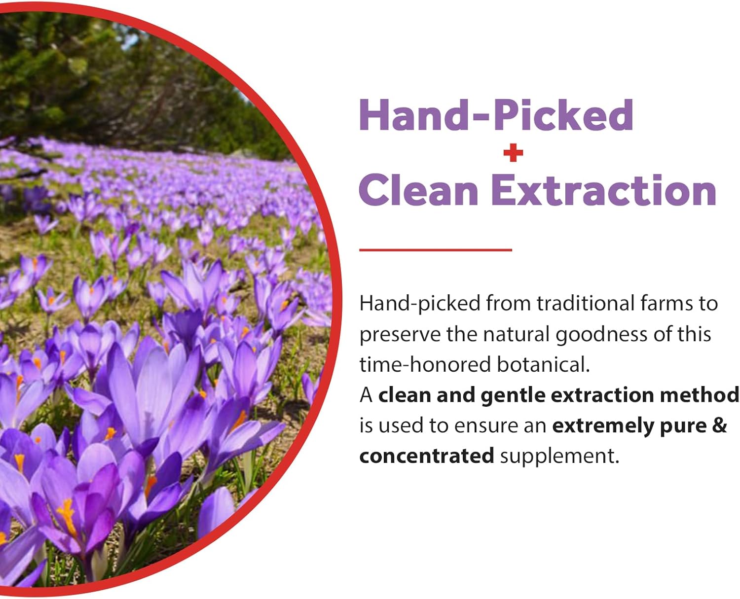 Doctor's Recipes Saffron Supplements, 88.5 mg Saffron Extract, High in Safranal & Crocin, Crocus Sativus, Pure, Vegan, All Natural, Non-GMO, Mood, Energy & Vision Support, 120 Caps - Image 6