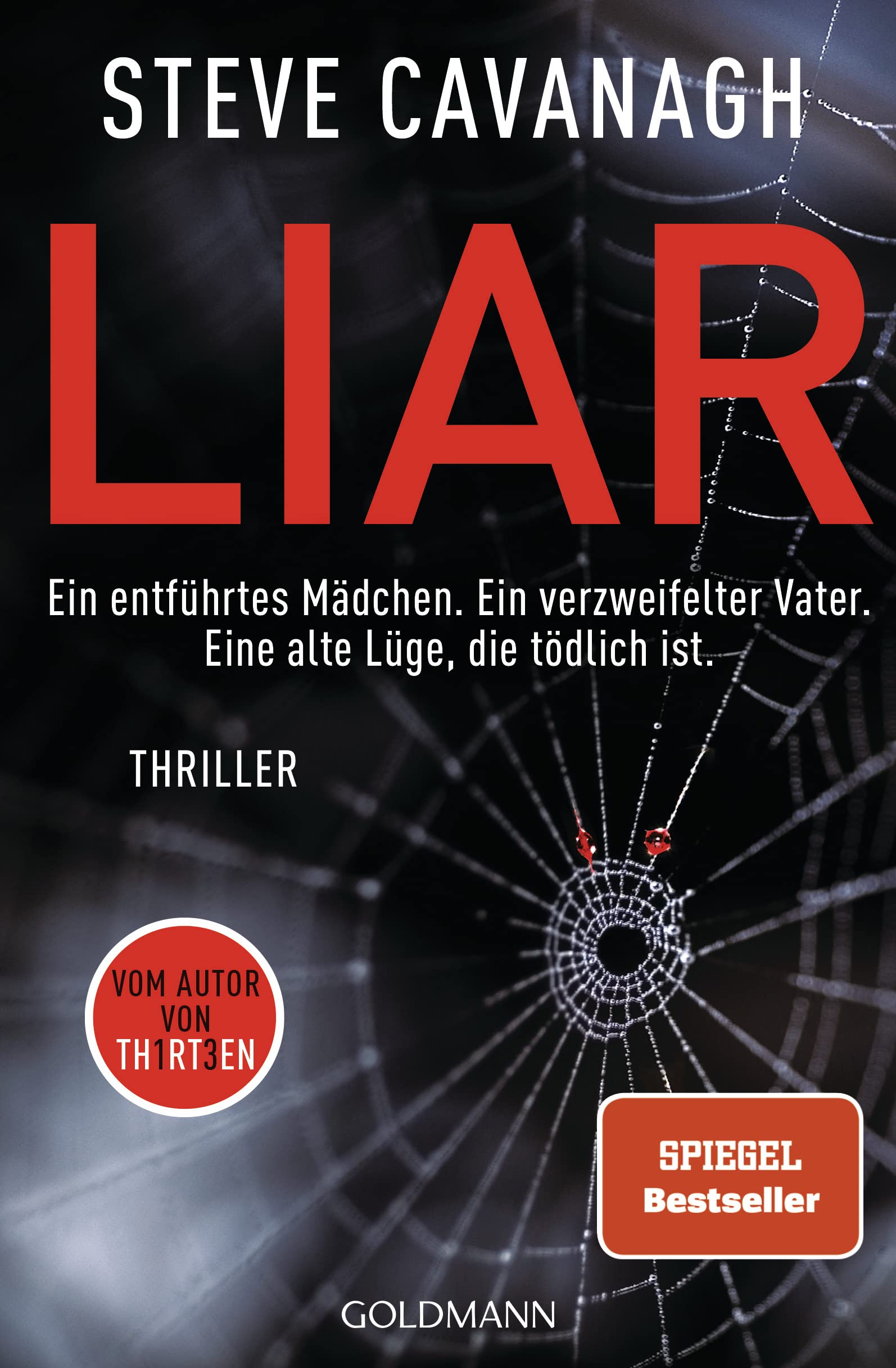 Liar: Thriller