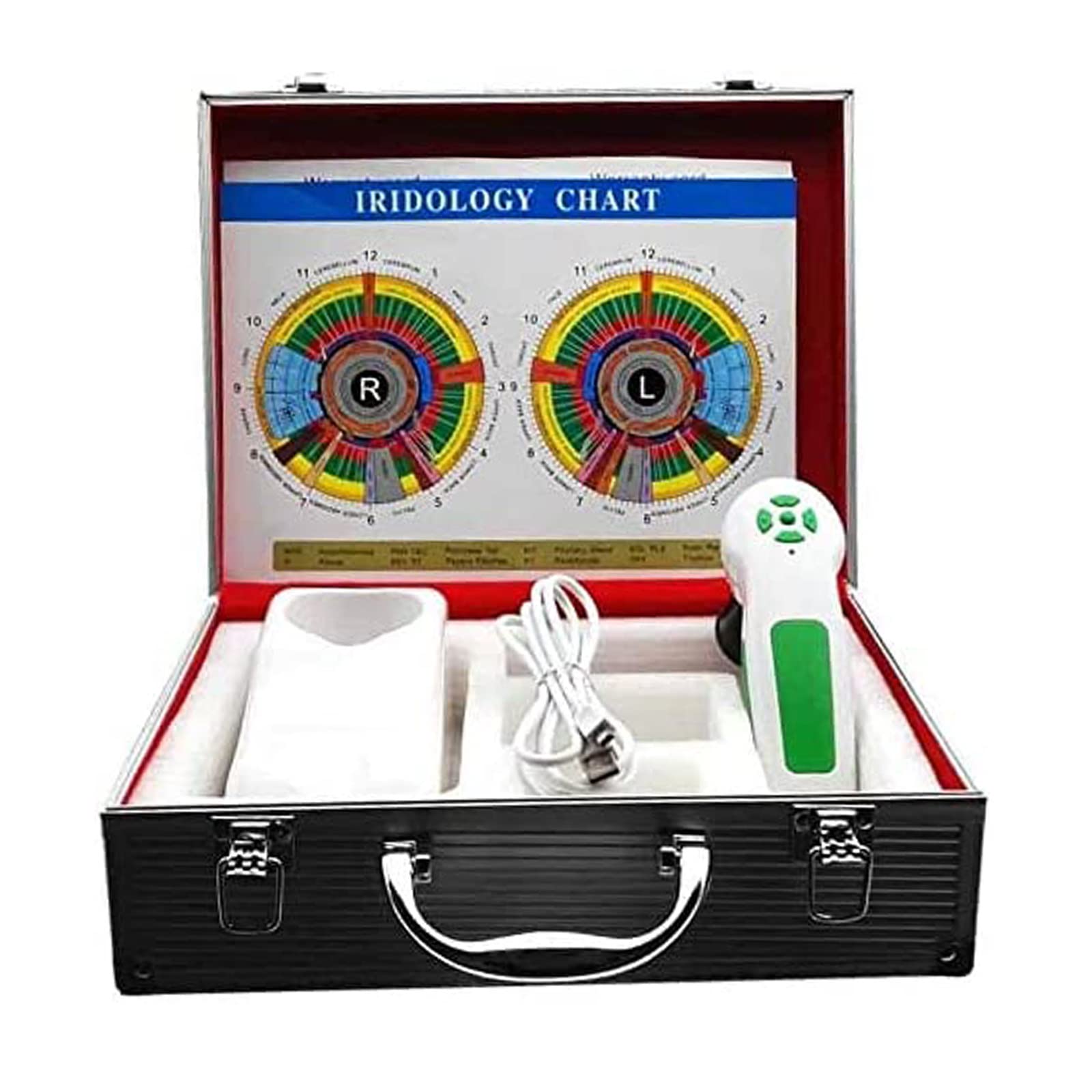 Analizzatore dell'iride Iridologia, Fotocamera per iridologia, Alta Risoluzione USB Iriscope Eye Camera, Iriscope con 30x Iris Lens e Software di Analisi