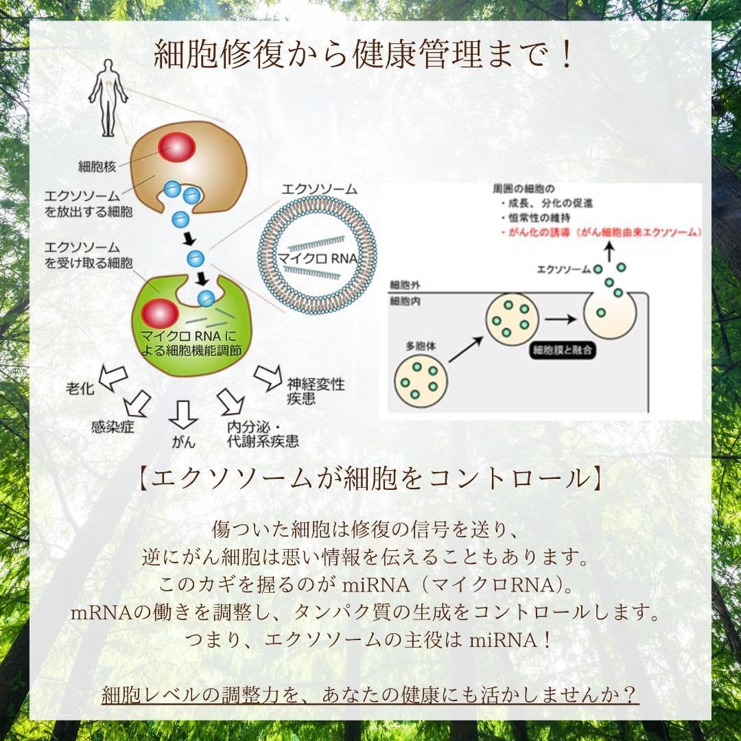 痩せ菌10倍！スリムボディ実現】植物エクソソームで理想の体型を