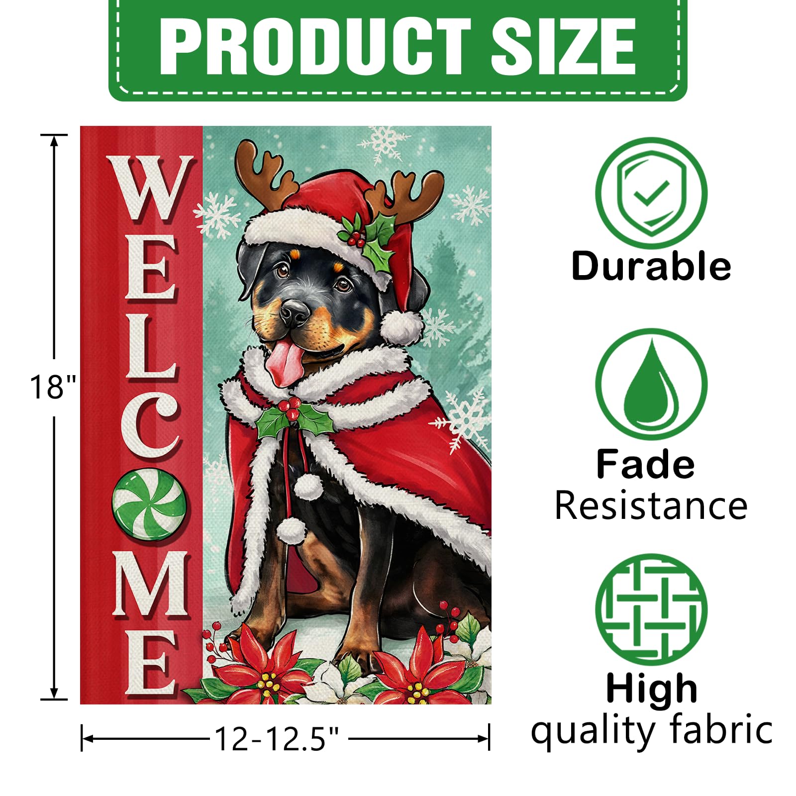 https://m.media-amazon.com/images/I/71xCE8C2L7L.jpg