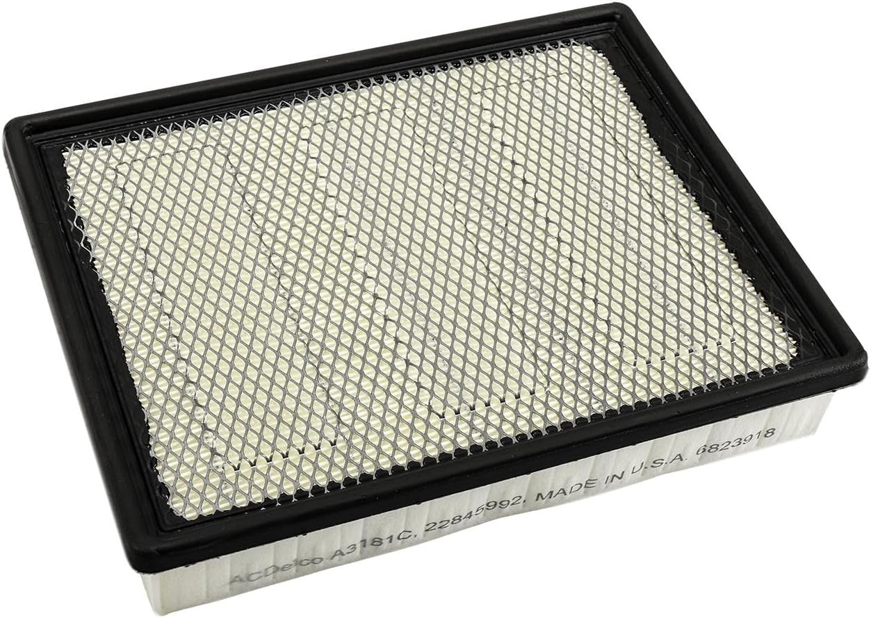 ACDelco GM Original Equipment A3181C (22845992) Air Filter
