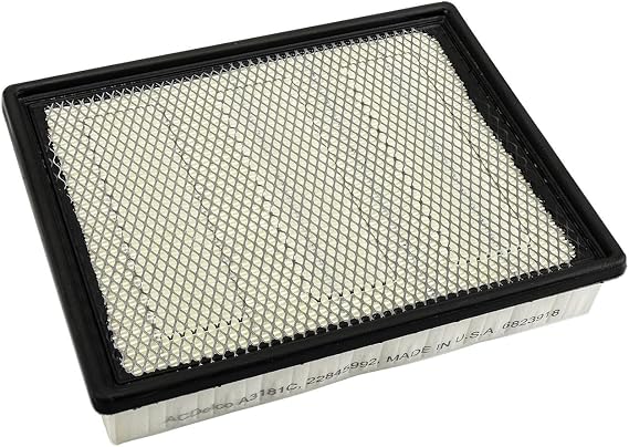 ACDelco GM Original Equipment A3181C (22845992) Air Filter