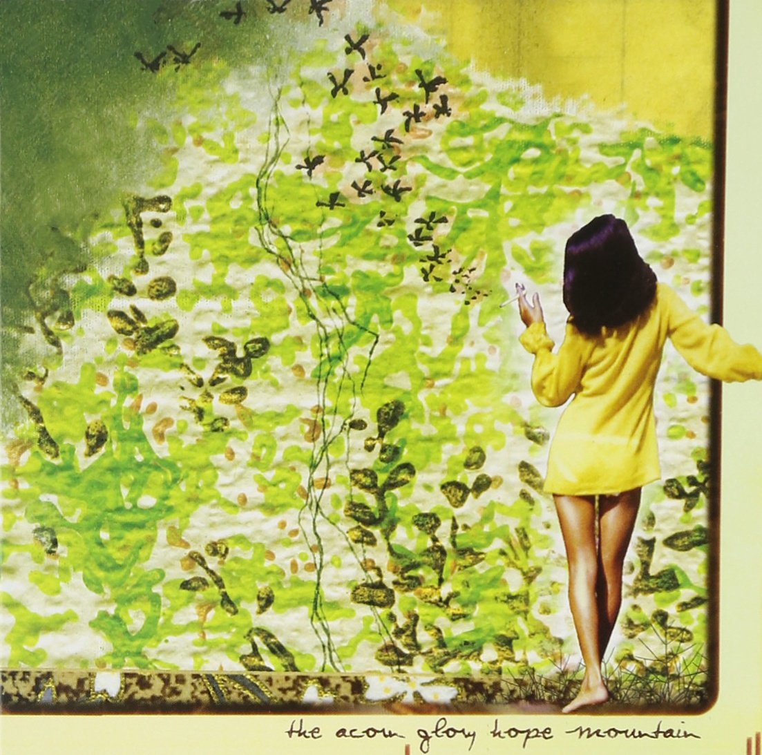 Glory Hope Mountain [Audio CD] The Acorn