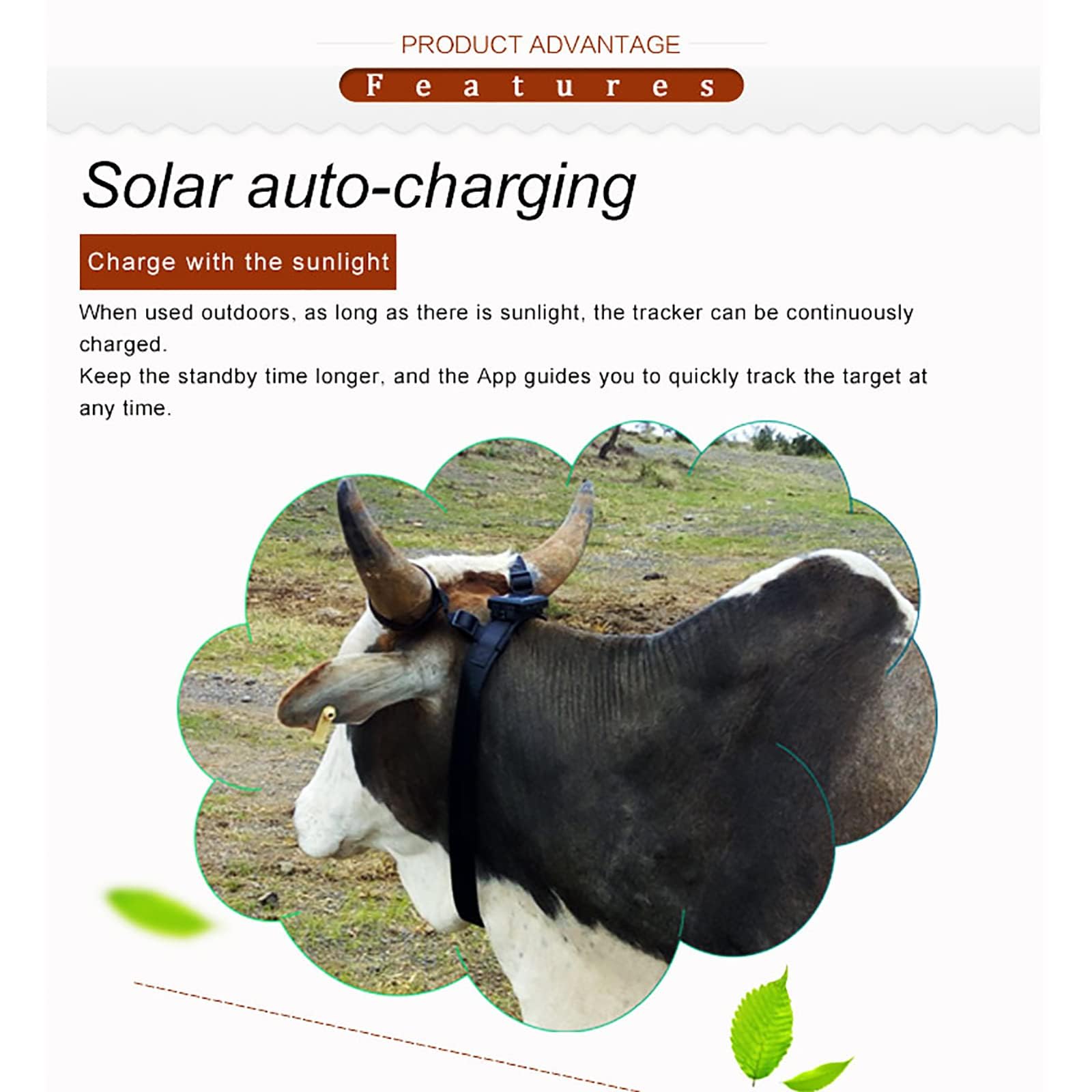 Lokalizator GPS dla zwierząt, mini solarny lokalizator GPS, wodoodporność IP67, śledzenie w czasie rzeczywistym, śledzenie historyczne, alarm wibracyjny, dla bydła, owiec, koni