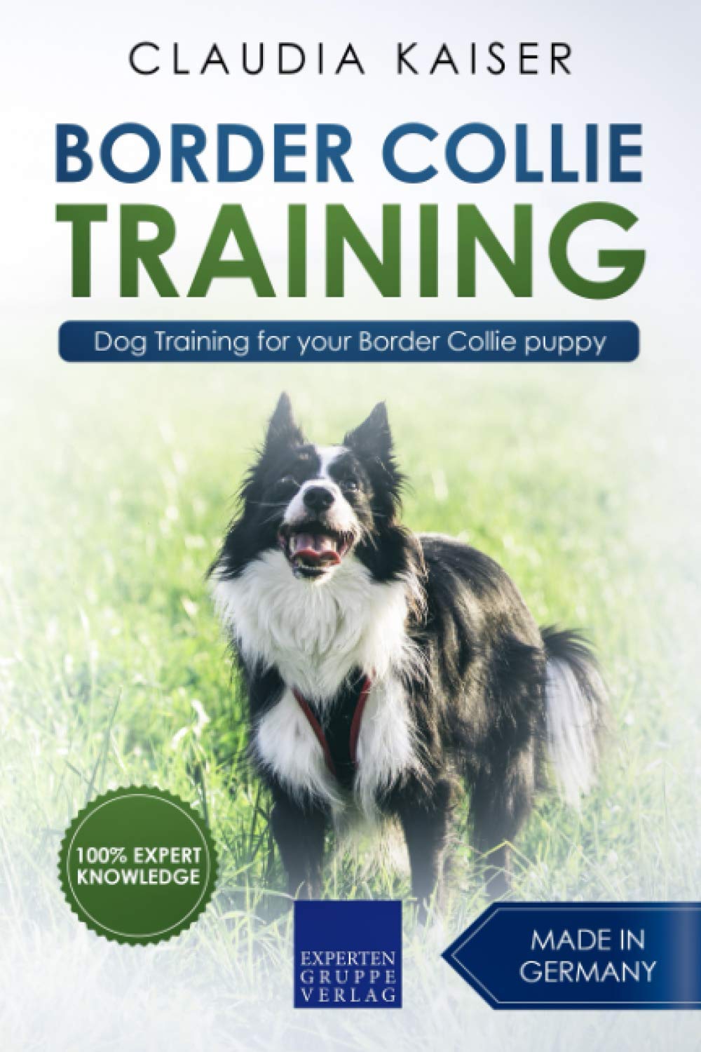 How To Teach A Border Collie To Come