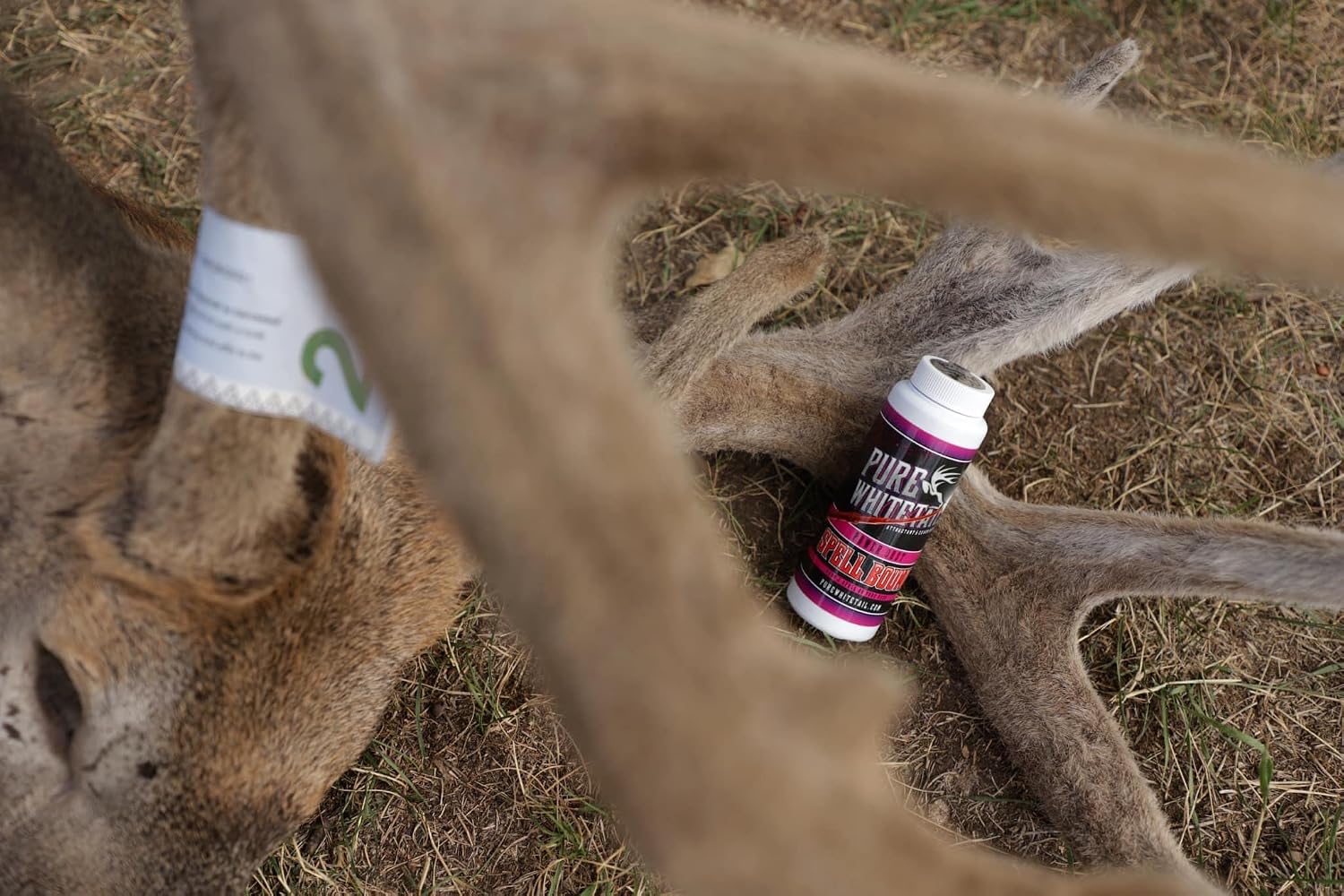 Spell Bound Power Dust Deer Scent, 4 oz Bottle | All Season Use | Compliments Buck Urine, Doe & Tarsal Gland Mock Scrape Scents | Sprinkle on Licking Branch, Mock Scrape Rope