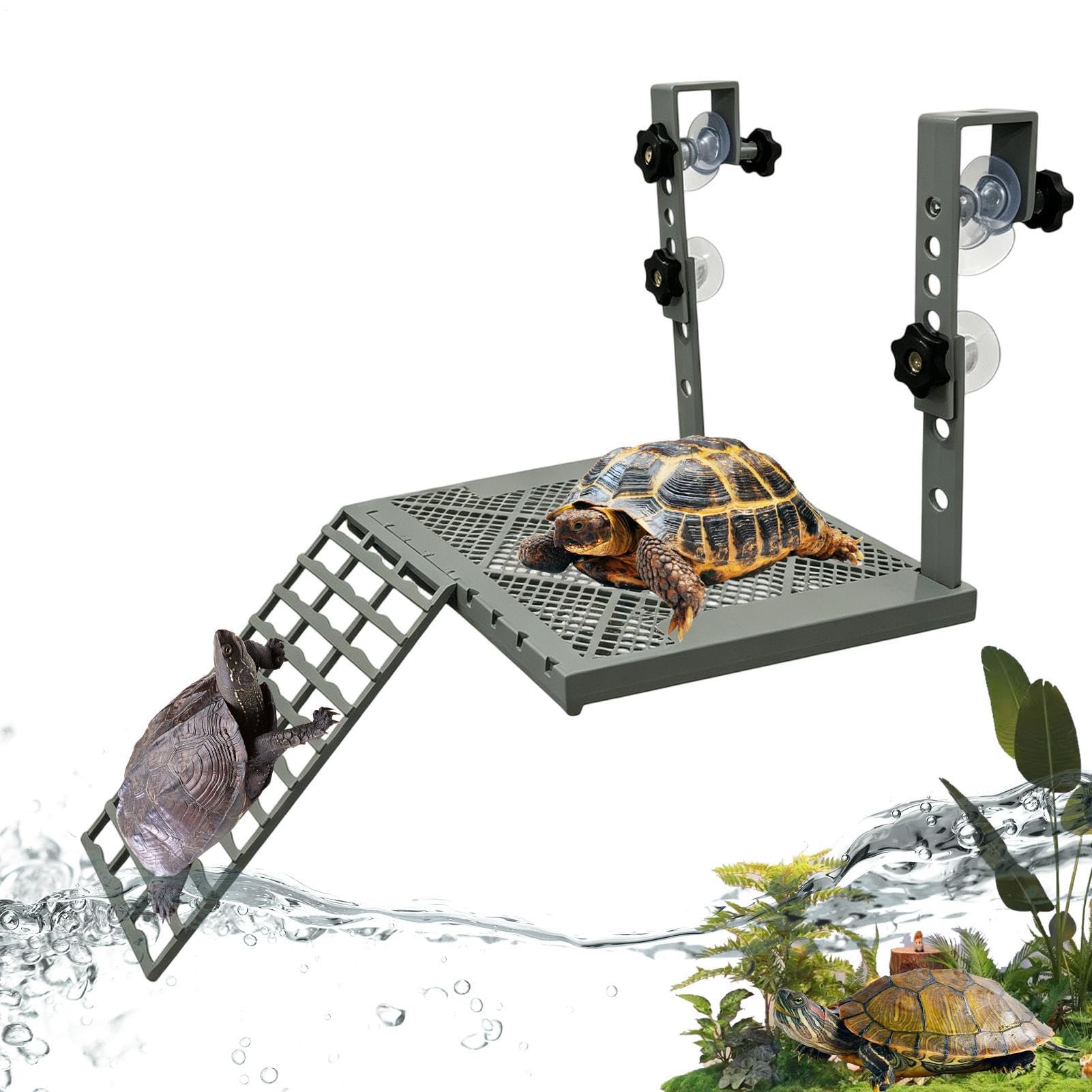 Muelle de tortugas rampa reptiles terrarios estanques acuario