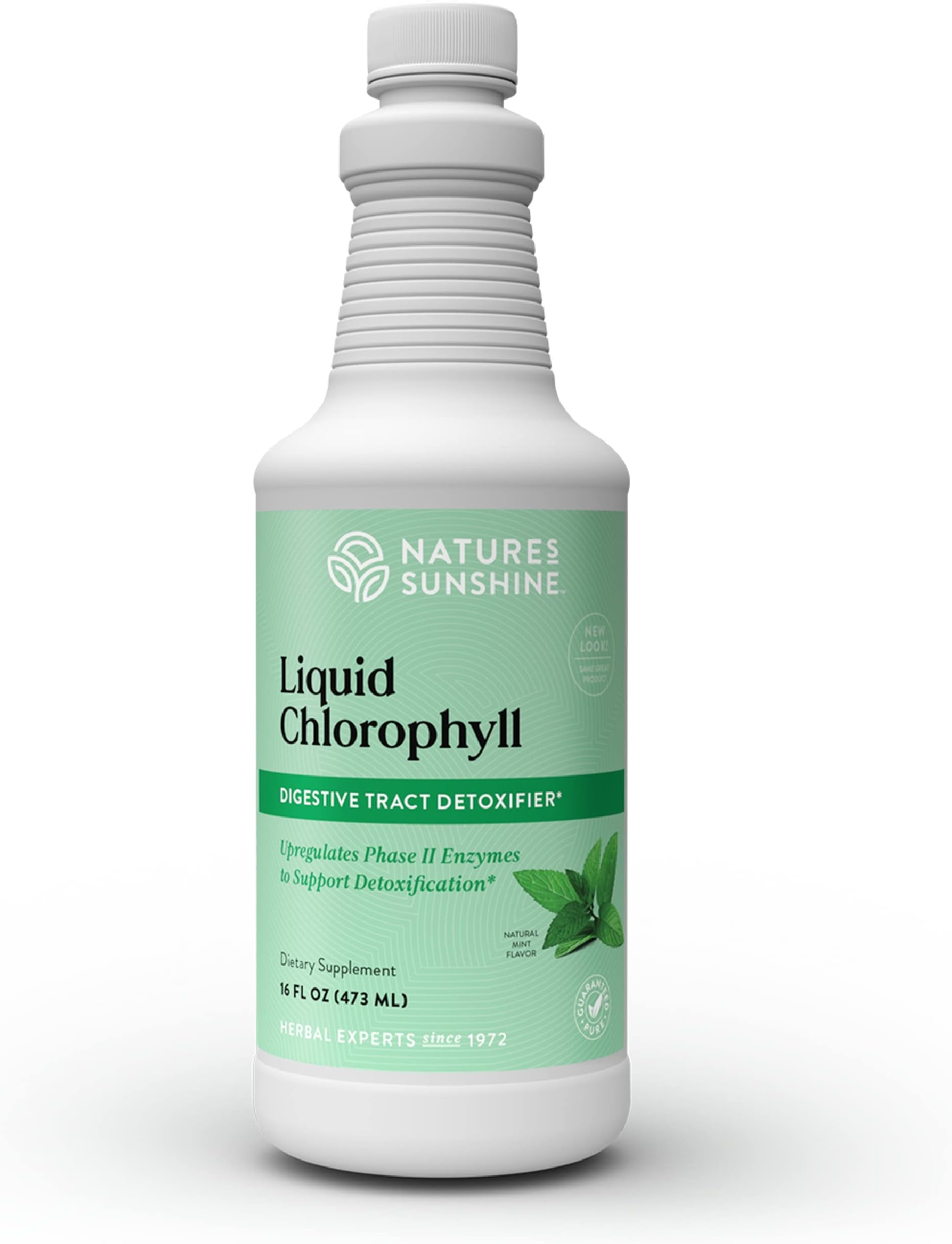 Nature's Way Chlorofresh, Liquid Chlorophyll, Supports
