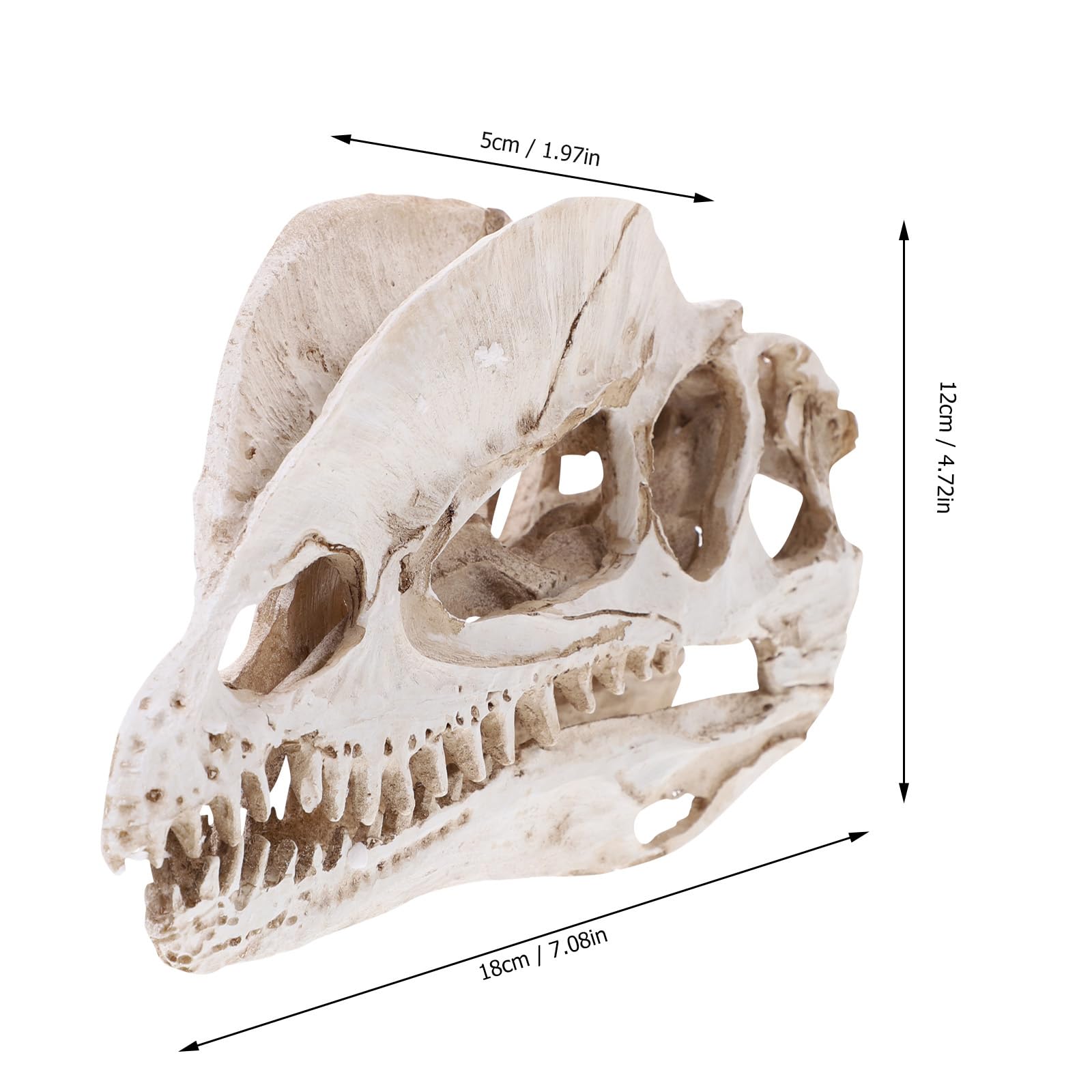 dinosaur fish tank accessories NUOBESTY Resin Skeleton Aquarium Decoration Dinosaur Skull Skeleton Ornament Aquarium Terrarium Decoration : Pet Supplies berkley combo Berkley Heritage Ice Berkley Type:PVC Net bring Disney magic to