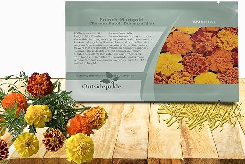 Outsidepride Bonanza Mix - Semillas de caléndula francesa  100 piezas anuales, compactas, tolerantes al calor y la sequía semillas de flores para