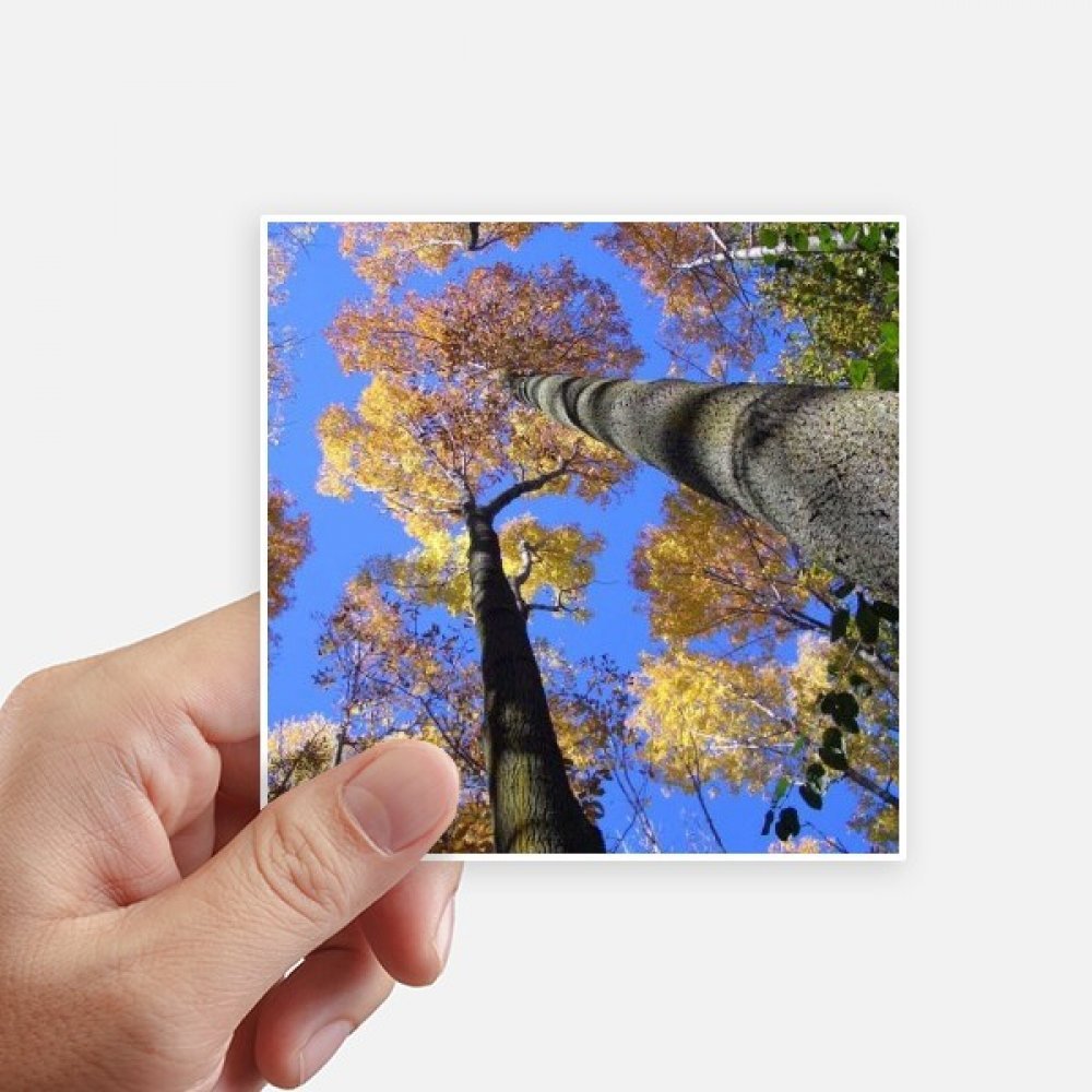 Autocollant carré feuilles rouges pour ordinateur portable et moto stickers paysage