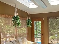 Review Image by Sheri Rominger Sheri Rominger