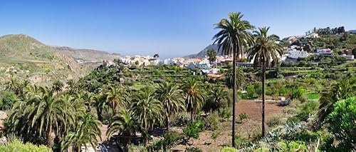 Posterazzi Póster de palmeras en un paisaje con ciudad en el fondo San Bartolomé de Tirajana Gran Canaria España (27 x 9), varía Posterazzi Póster de palmeras en un paisaje con ciudad en el fondo San Bartolomé de Tirajana Gran Canaria España (27 x 9), varía