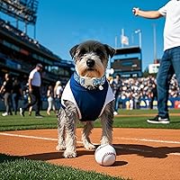 Vista 168 de Aring Pet Collar de algodón, ligero y ajustable, con hebilla de liberación rápida para perros pequeños, medianos y grandes, para cachorros, XS