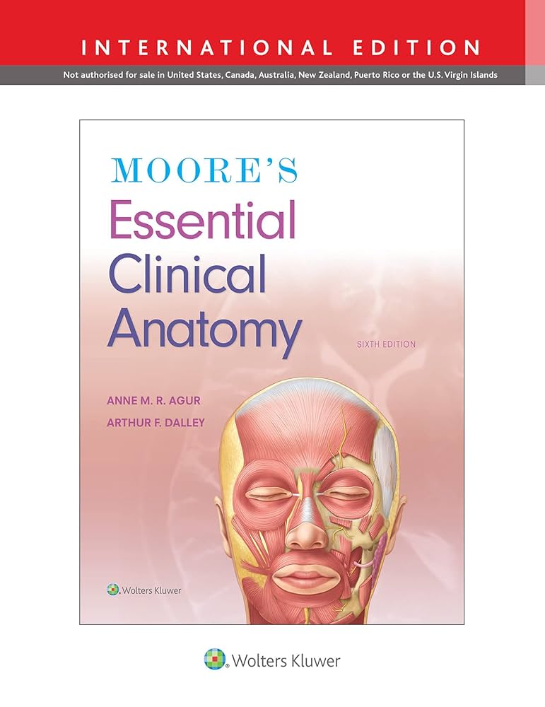 【未開封】Moore's Essential Clinical Anatomy Essential Clinical Anatomy: 9781469832012: Medicine & Health