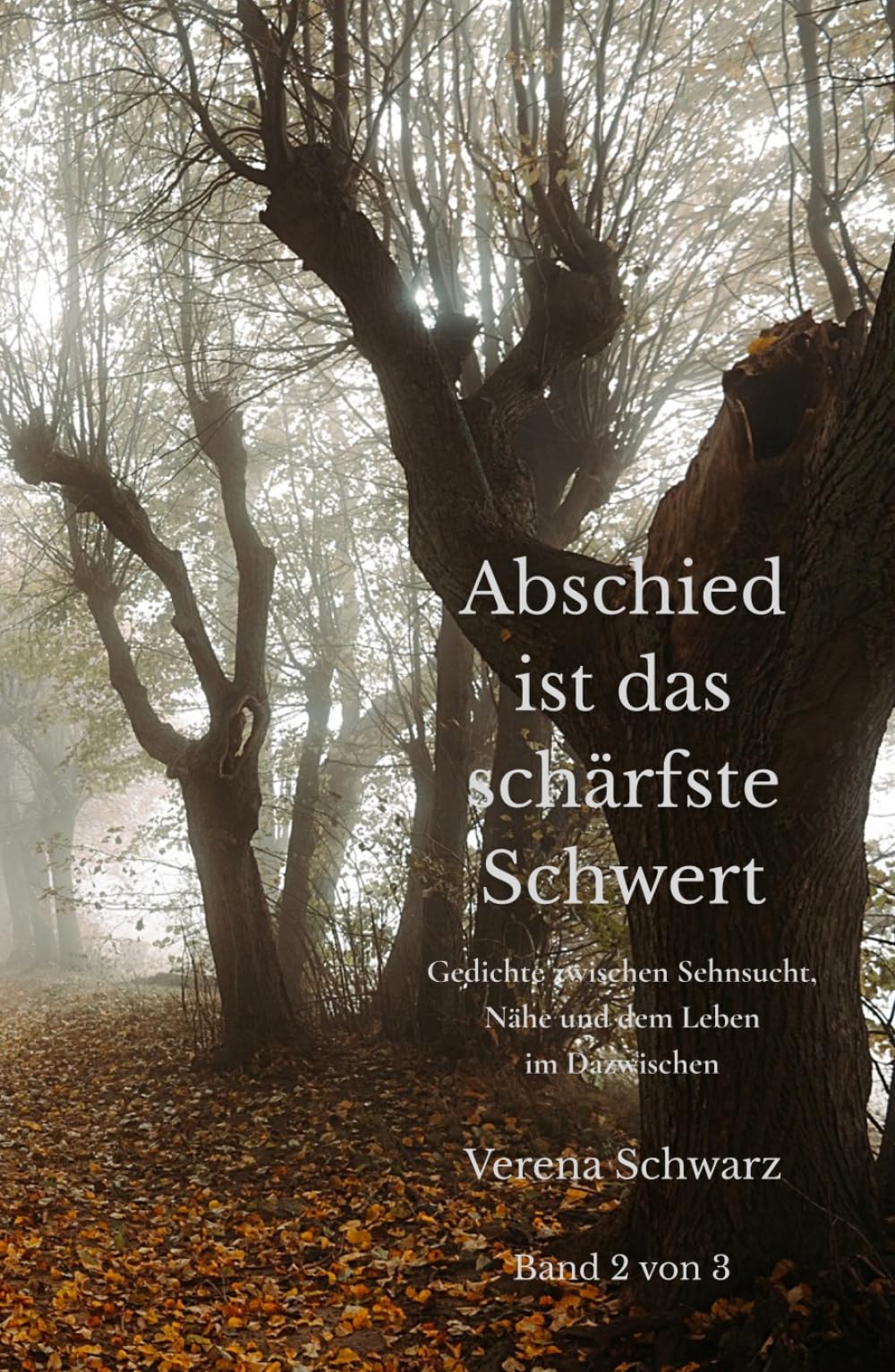 Abschied ist das schärfste Schwert