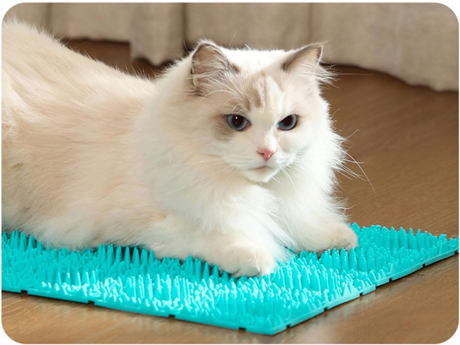 Based Cats Ground Massager Offering and Grooming Benefits for Comfortable Skincares Reduce Shedding Attracts Cats Naturally Massager