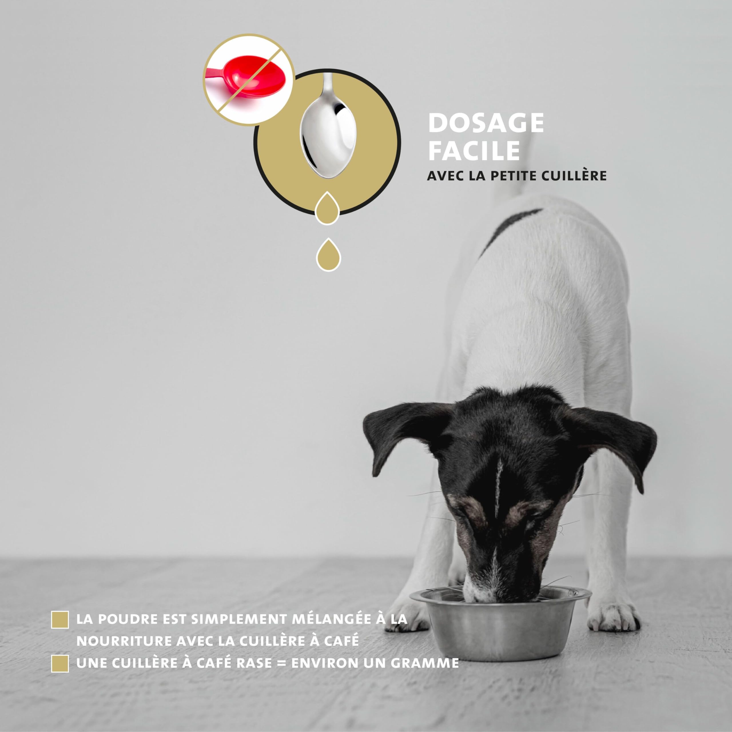 Peticare Mélange Muscles & Activité pour Chiens | Complément Alimentaire avec collagène & acides aminés | Soutien de la mobilité & de la vitalité | pour Chiens Actifs & Seniors | petDog Health 2503