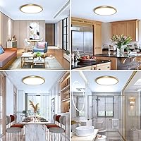 Vista 33 de 12 Inch Gold LED Ceiling Light, 3000K Warm White, 24W Gold Flush Mount Ceiling Light, 3200LM Round Low Profile Ceiling Lights for Bedroom, Living
