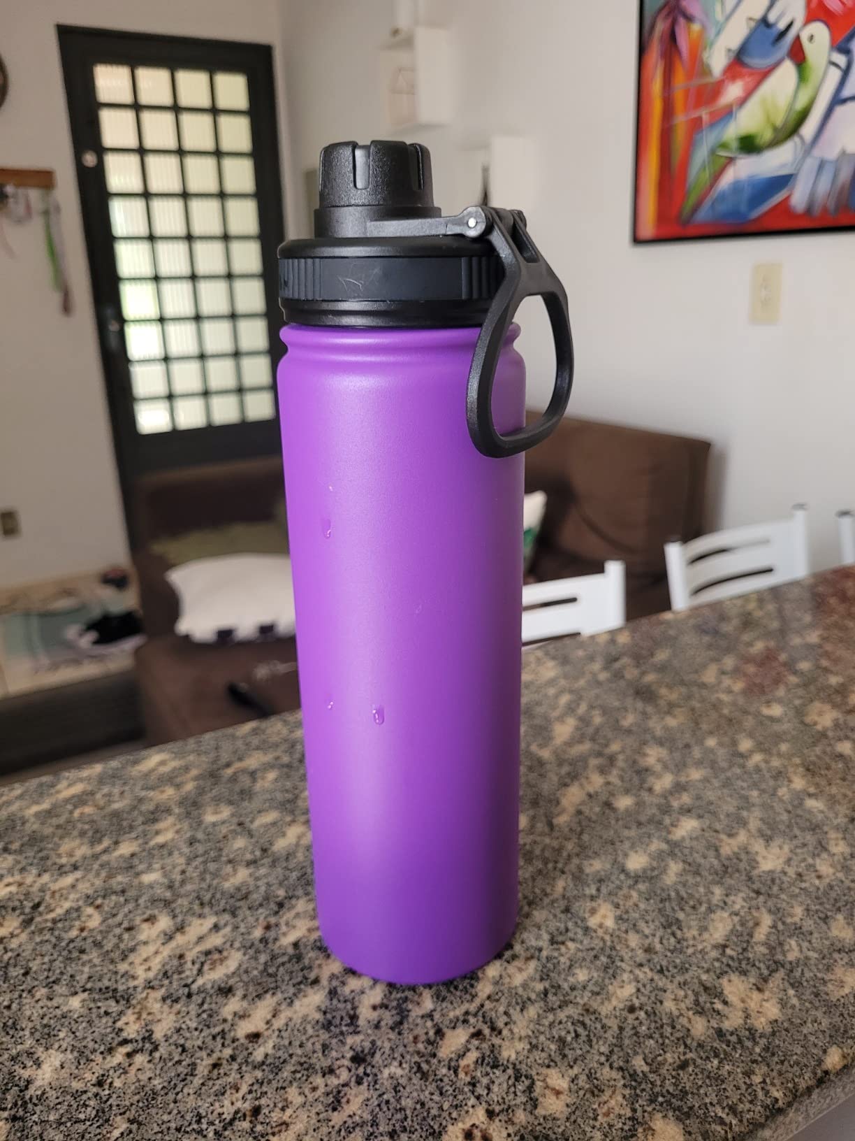 GARRAFA DE GUA T RMICA visual data 2