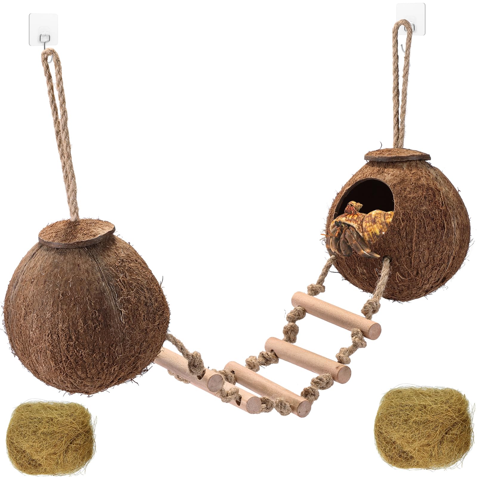 HERCOCCI Gecko Tank Accessories - habitat decor | Mubboo