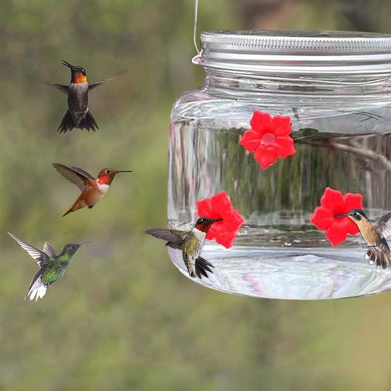 Mangiatoie per colibrì per esterni, Stazione di alimentazione per colibrì | Mangiatoie decorative per uccelli selvatici in vetro soffiato a mano | Stazione di alimentazione con gancio in metallo, attr
