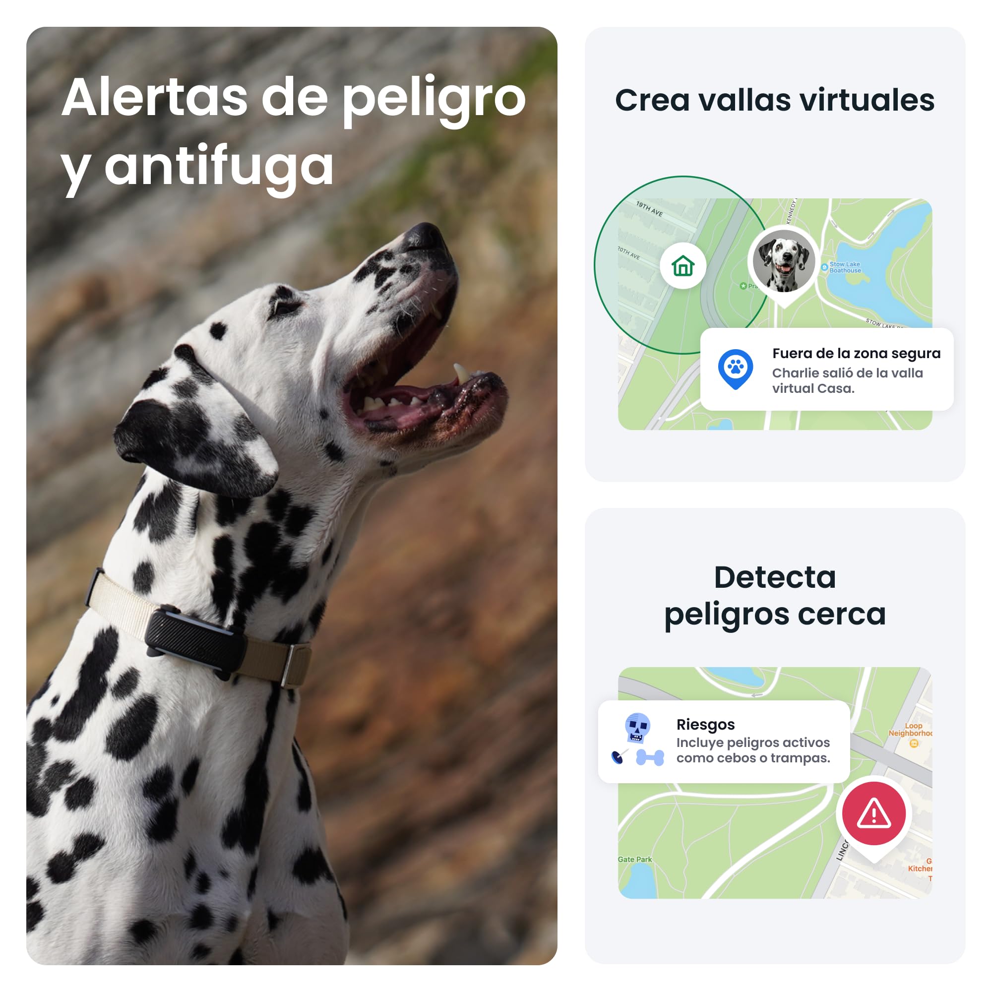Tractive - GPS perros | 2025 Edición | N.º 1 del mercado | Localización en tiempo real | Alertas antifuga | Monitor de actividad | Avisos de salud | Seguimiento de ladridos (Negro)