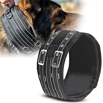 DOG COLLAR WIDE ブラック 71xCtDOUK8L._UF350,350_QL50_.jpg