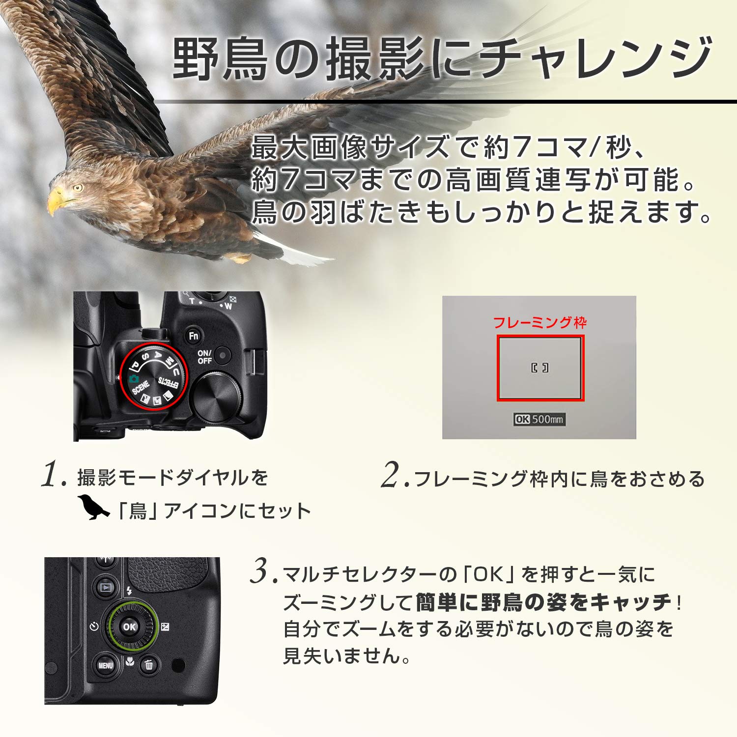 Amazon | 【整備済み品】 Nikon デジタルカメラ COOLPIX P900 ブラック