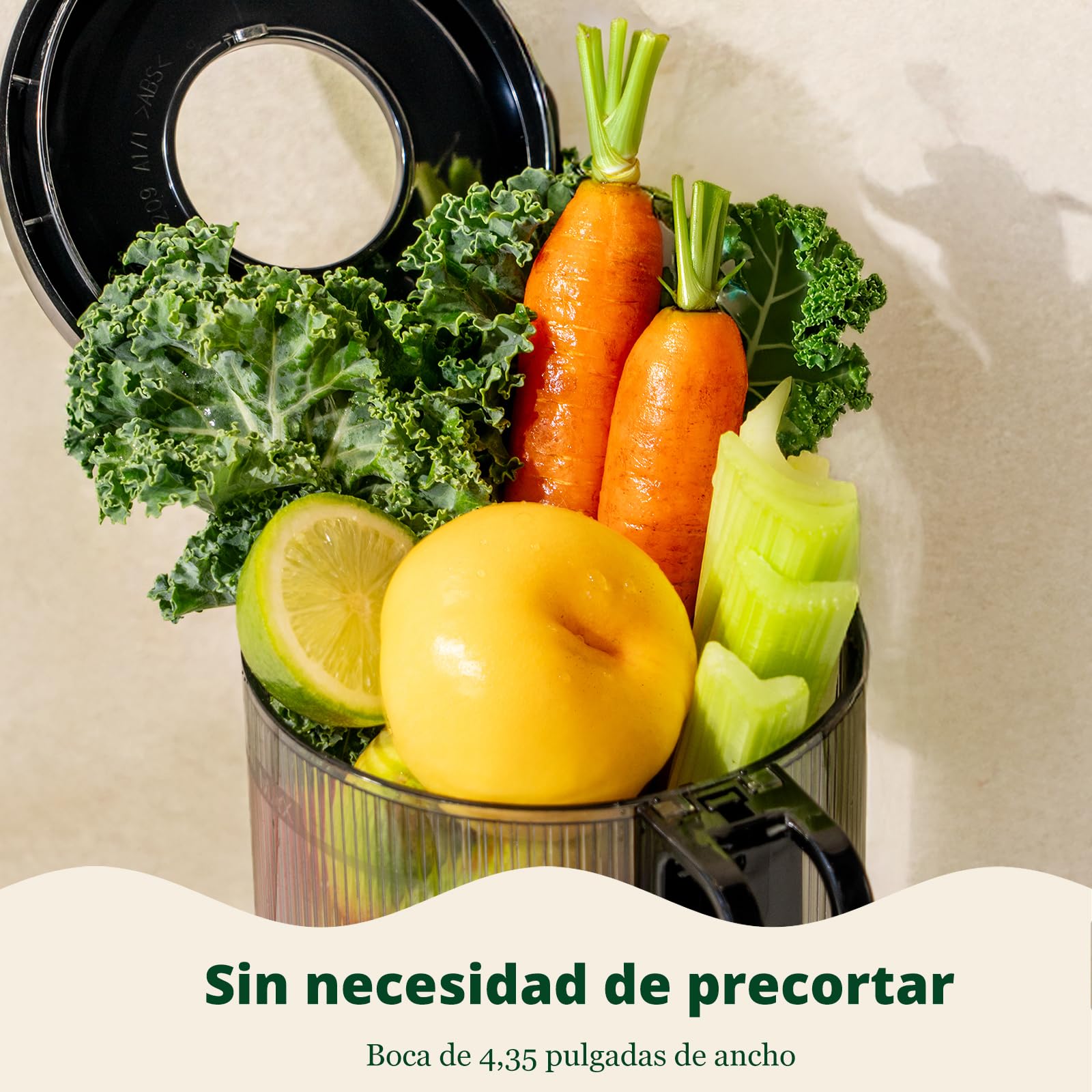 LINKChef extractor de zumos y verduras, boca de 115 mm y 1,2L licuadora para verduras y frutas Entera, slow juicer machine extractor de jugo,Fácil de Limpiar, Sin BPA,200W, Negro