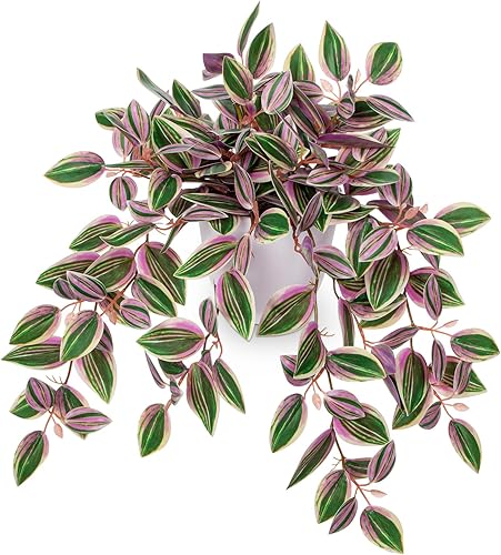 Miniatura 15 de Briful Plantas Artificiales de Interior Plantas de Seda Falsas en Maceta Plantas Sintéticas de Peperomia Sandía Colgante para Decoración de Hogar